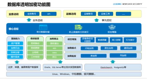 南京恒略數(shù)據(jù)庫透明加密產(chǎn)品熱賣，為生物質(zhì)能資源數(shù)據(jù)庫信息系統(tǒng)安全賦能